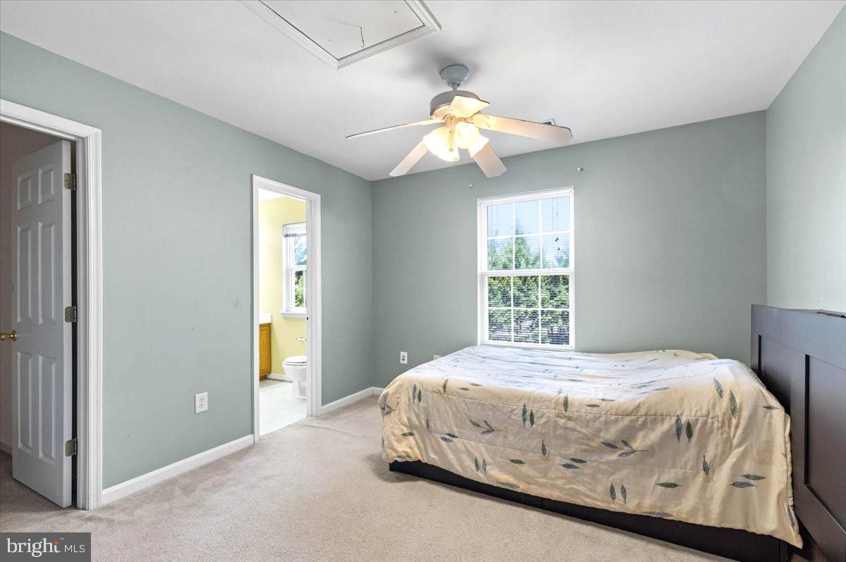 STRAWBERRY HILLS - Residential