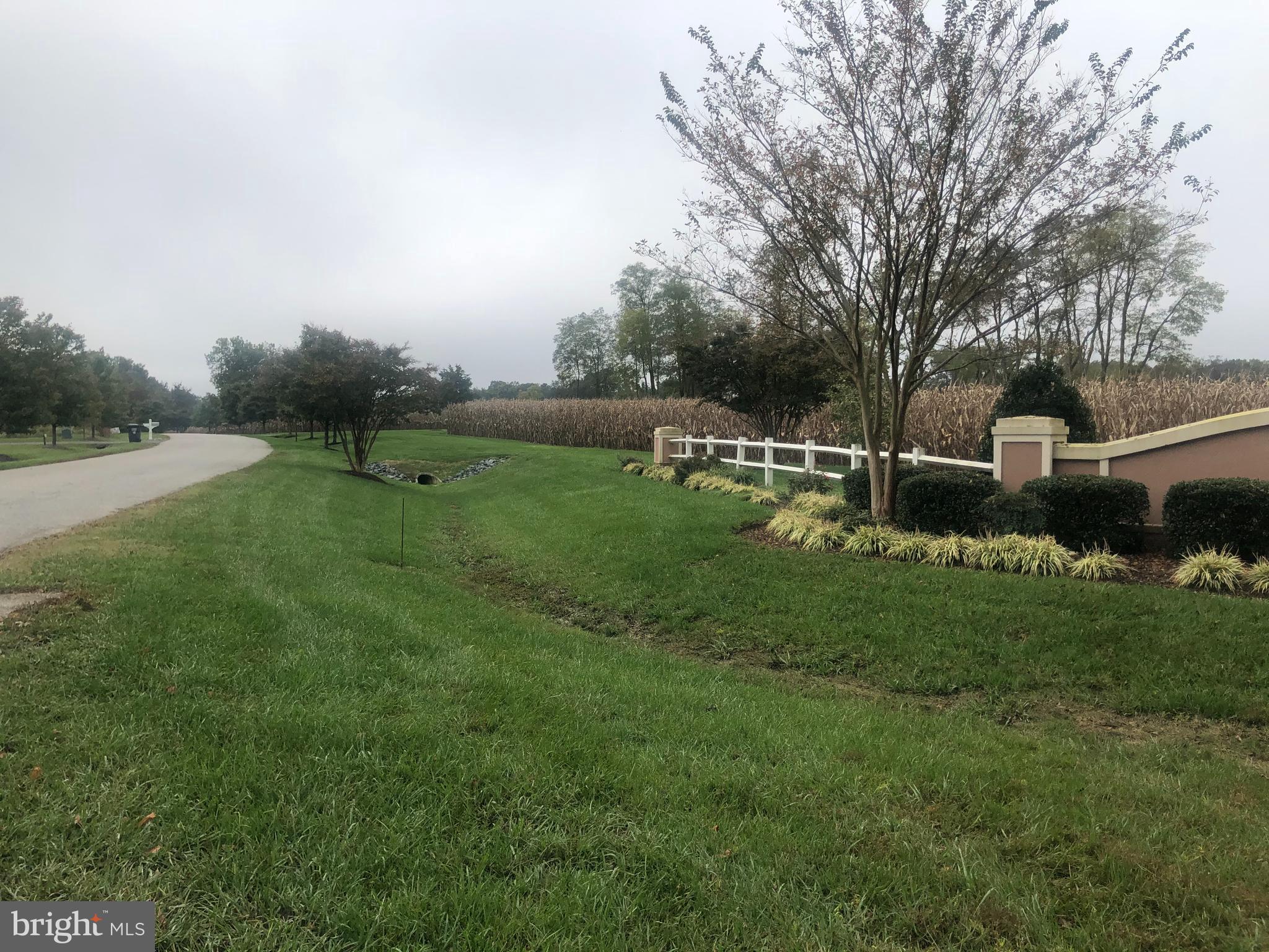 THE PRESERVE AT BIG CHESTNUT - Land