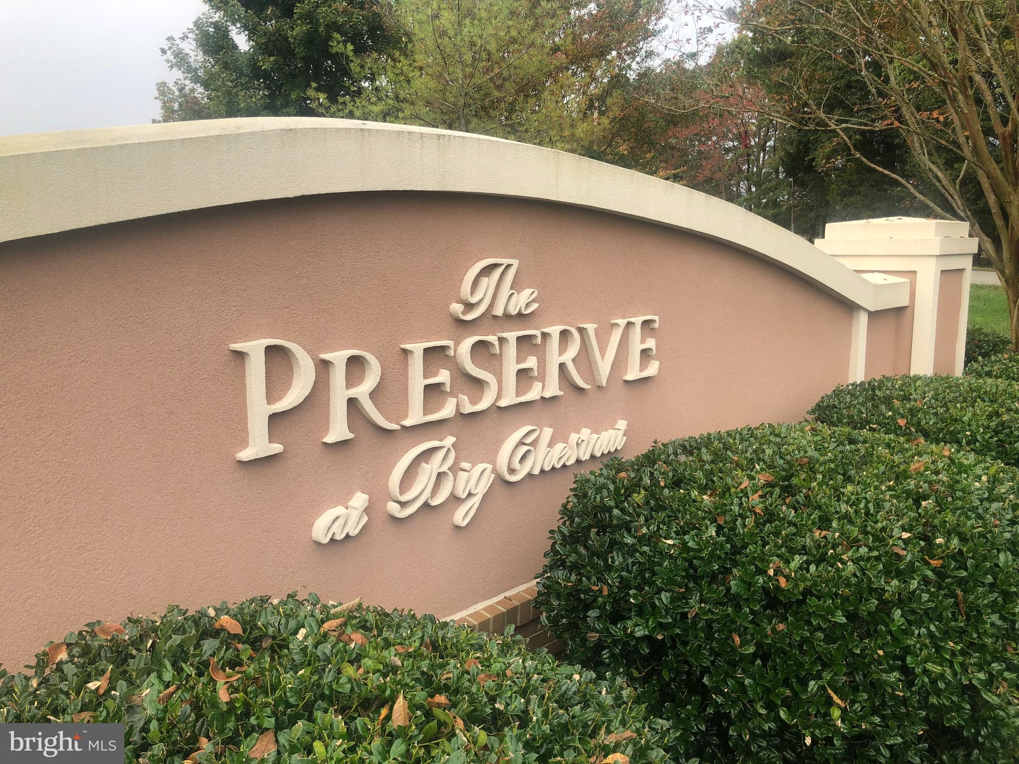 THE PRESERVE AT BIG CHESTNUT - Land