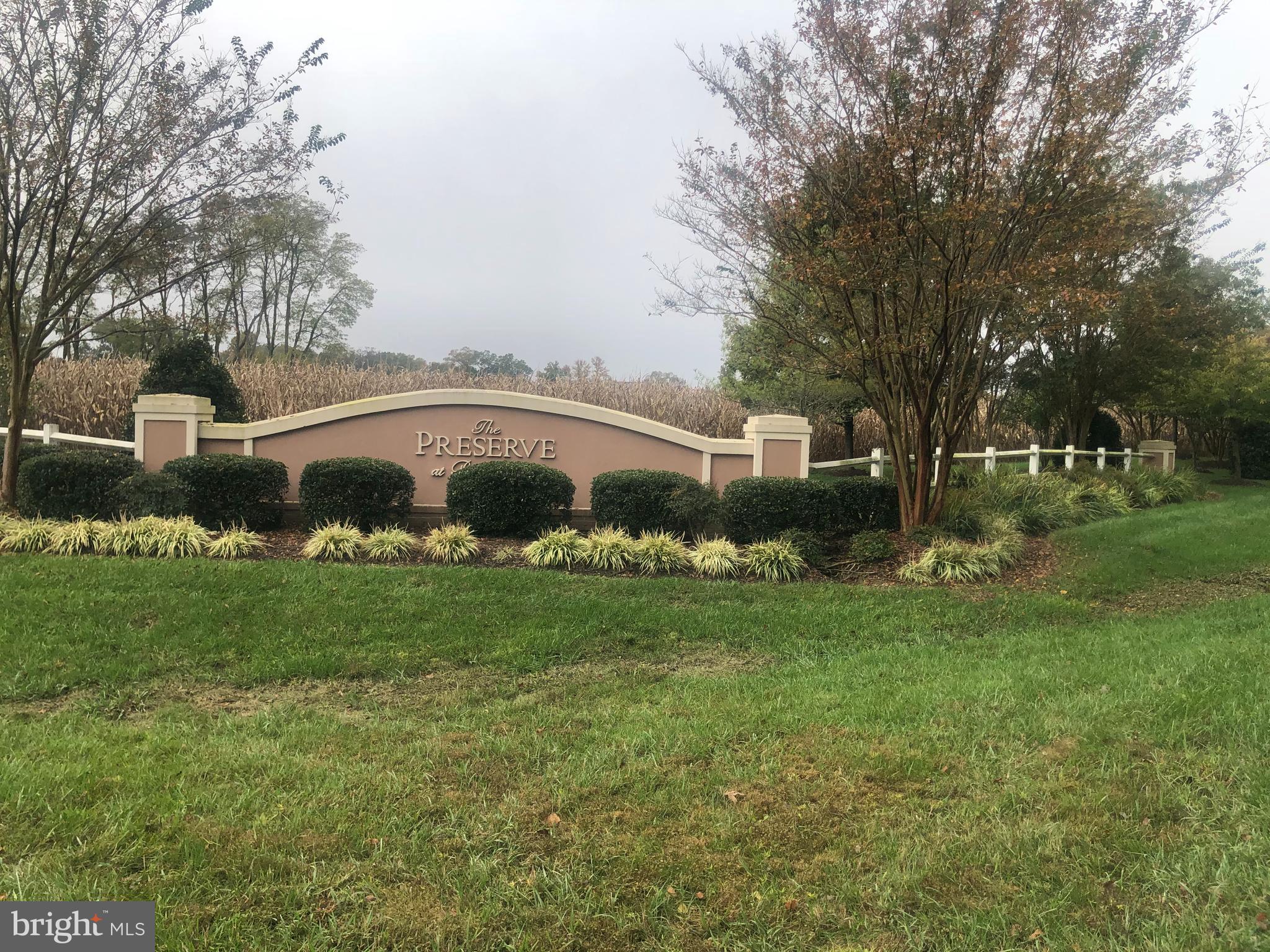 THE PRESERVE AT BIG CHESTNUT - Land