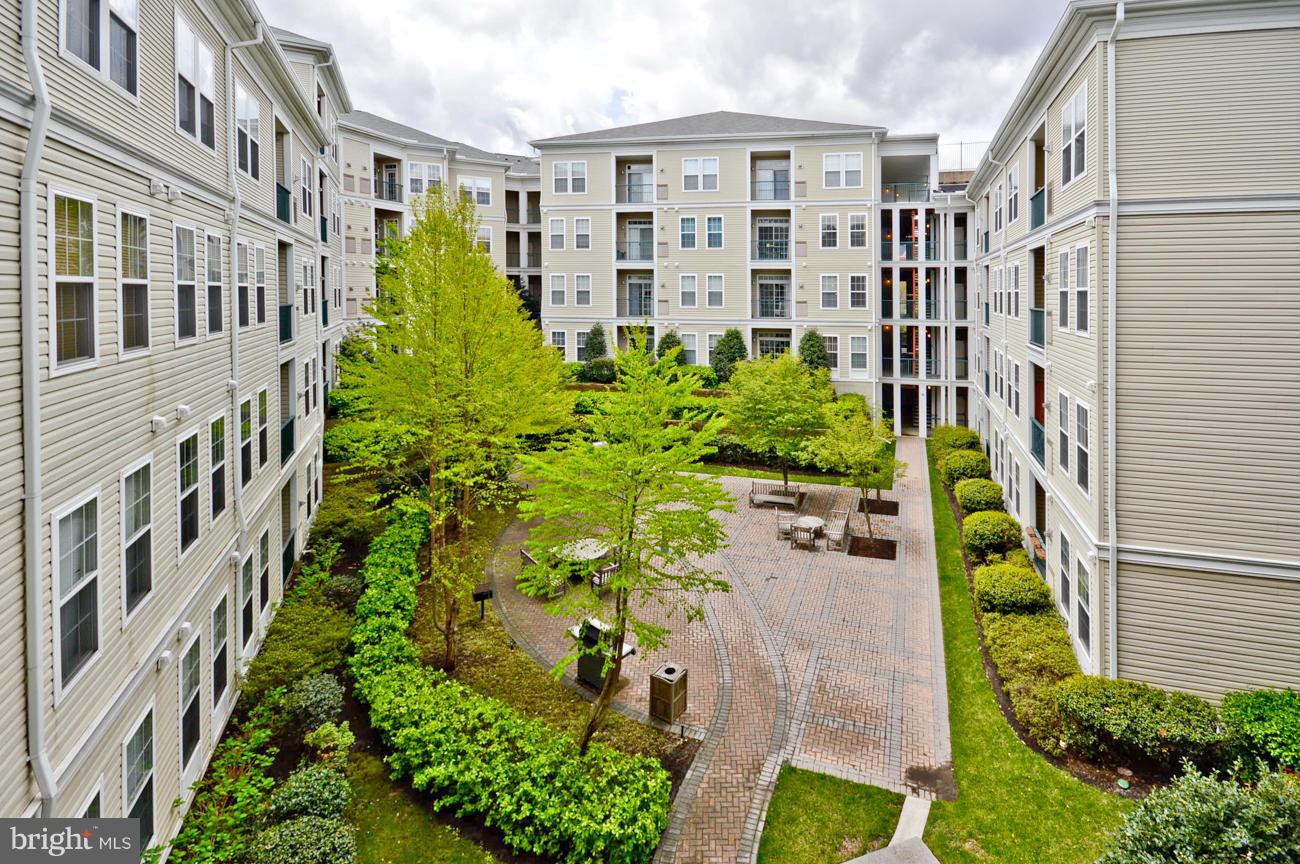 GROVE AT ARLINGTON - Residential
