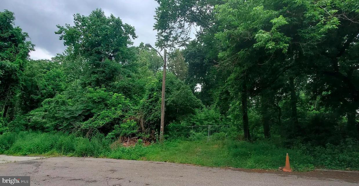 Situated in the heart of Roxborough, this vacant land with view of the city line offers a rare opportunity to build your dream home or develop an investment property in one of Philadelphia’s most desirable residential neighborhoods. Enjoy the best of both worlds: a quiet tree lined street with convenient access to city amenities, parks, schools, and public transportation.
Land could be divided to build two single homes per architects. 3-story Modern Homes around 3000 square feet with 4 bedrooms plus a roof deck and 2 car parkings. Access either on Wigard, or from Edsaw and Shaw Street. The land starts from the back deck of 7508 Lawn street all the way to Wigard. This is an as-is sale. Buyer needs to do their own due diligence.