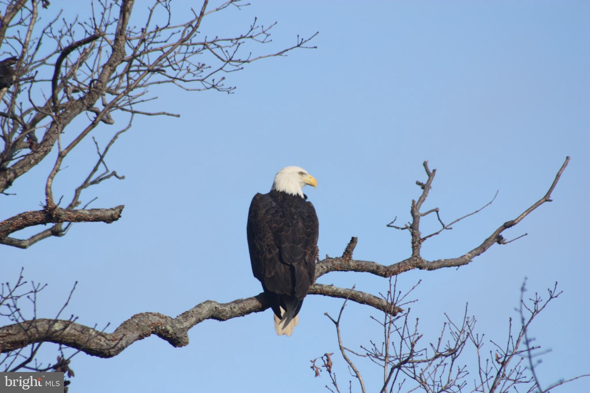 WATERSIDE PLAT 1 - Residential
