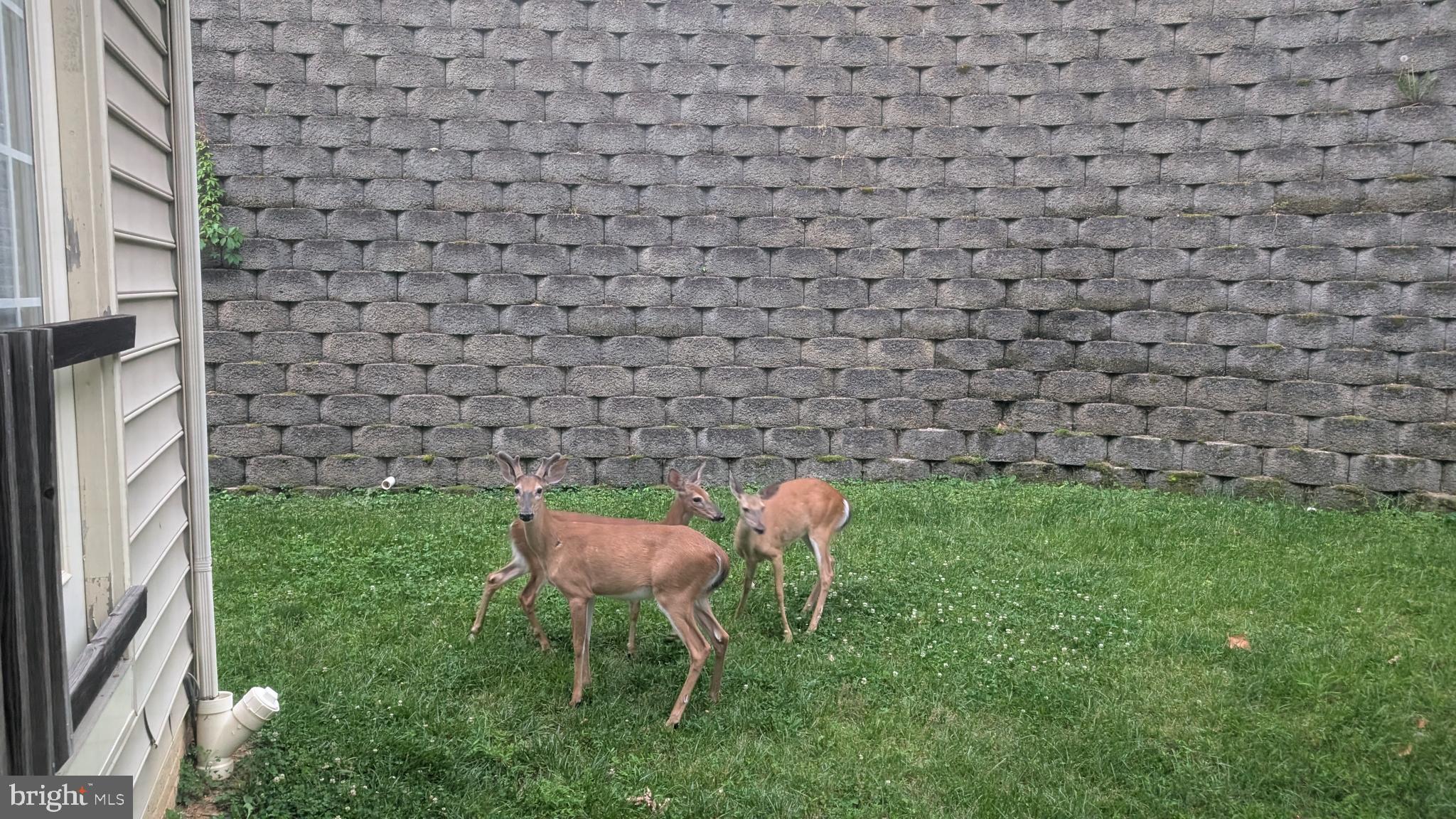 WATERSIDE PLAT 1 - Residential