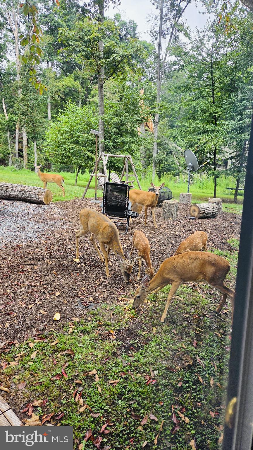 SLEEPY HOLLOW - Residential