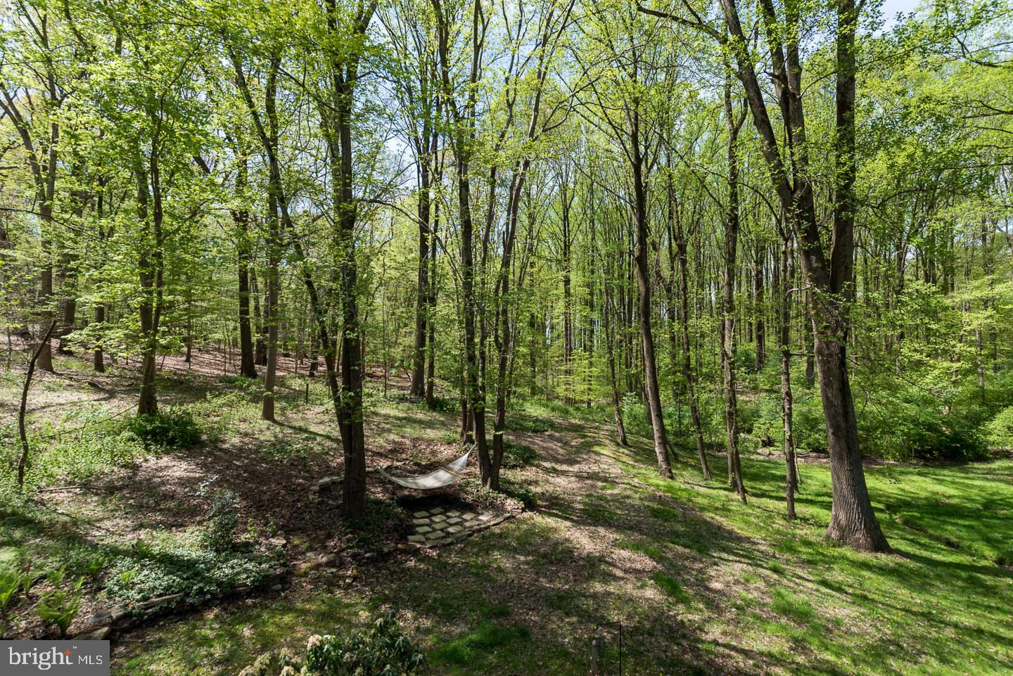 RINGFIELD - Residential