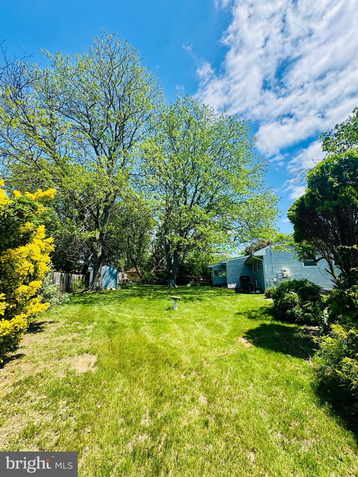 1 LAMONT ROAD