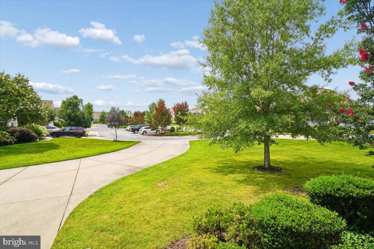 16352 CORKSCREW COURT