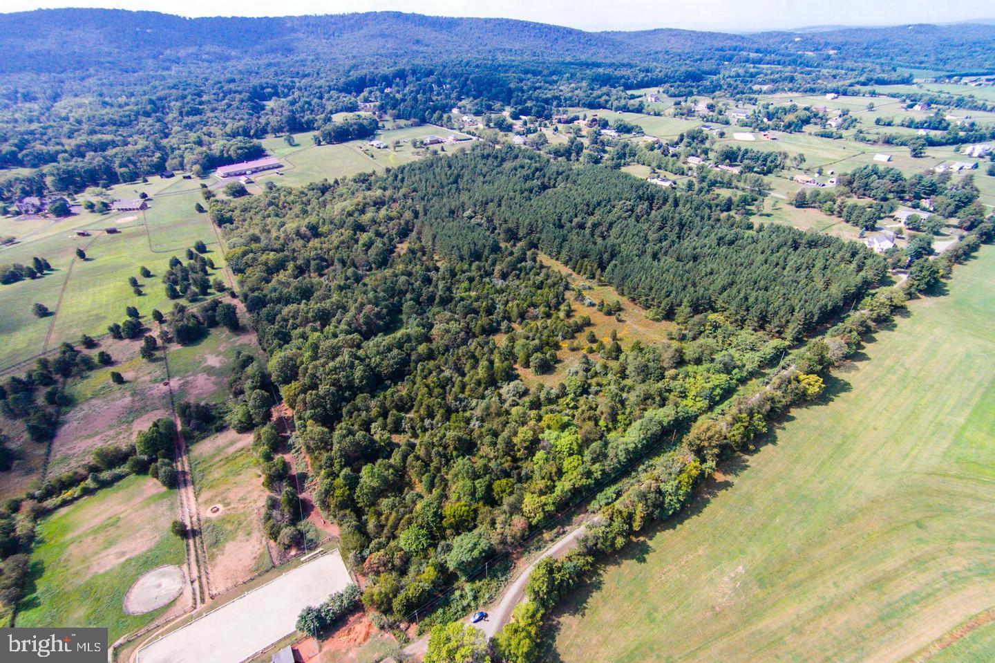 1590 LOUDOUN DRIVE