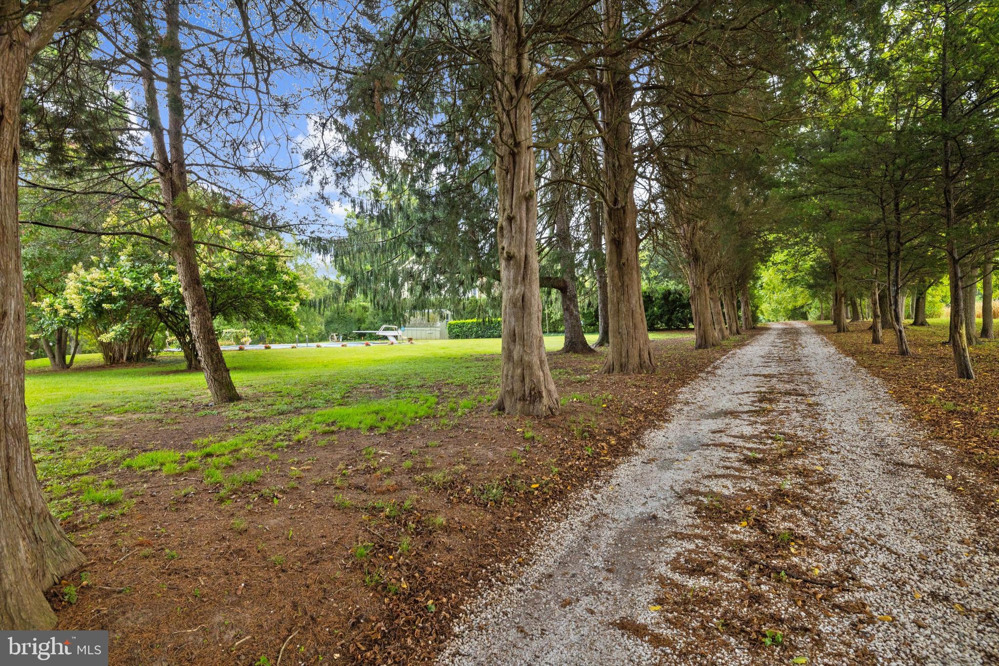 111 MT MILLS LANE