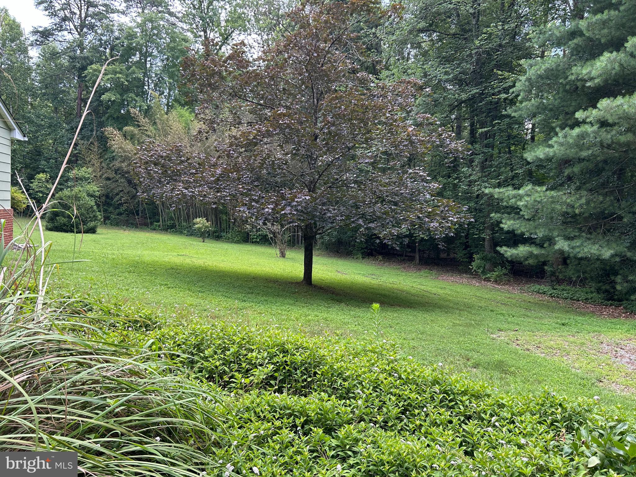 8305 OLD PLANK ROAD