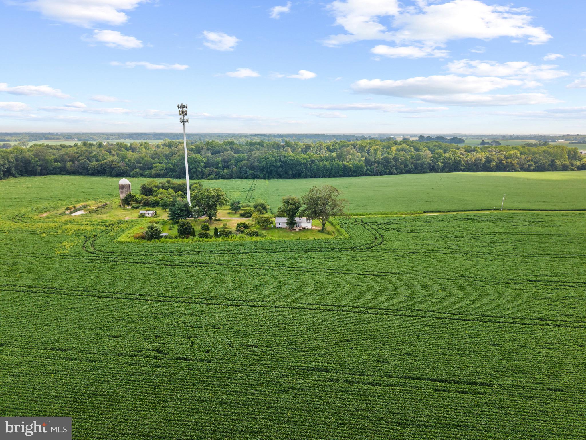 STILL POND - Residential