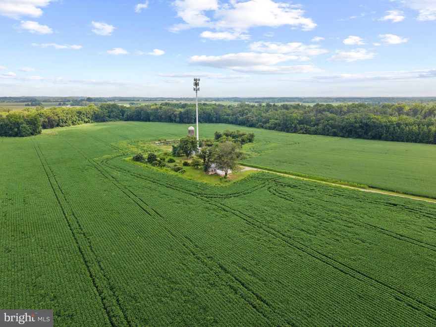 We are in a multiple offer situation. Seller will review all offers on Monday, August 18th.  Offers are due to the listing agent by 4pm.


12530 Dads Desire Lane in Still Pond Md offers 158 acres of land and a three bedroom ranch house. 123 acres of the 158 are currently being farmed. The additional acreage is treed and offers amazing opportunities for hunting. The original farm house and barns were removed years ago, but can be rebuilt (buyer to confirm with Kent County). There is a Verizon tower on the property that shares the annual tax bill and pays the seller annually. The land lease agreement for the tower has a First Right of Refusal, within 30 days, for any offer made and accepted by the seller. All contracts will be contingent on this land lease agreement stipulation. However, the agreement is in the last term and a new agreement will be needed, and negotiated, with the new owners. (Buyers to confirm with the tower company).

The property does have a Conservation Plan in place which dictates the terms of the acres that are currently farmed. 

All due diligence will need to be done by the buyer within the first 30 days. No showings will be allowed without a written pre-approval or proof of funds. All offers will be considered. 

The property will be open on Friday, August 15th from 10am-12pm for potential buyers to come and walk the property, review the conservation plans, land lease agreements with Verizon, and speak to the Listing Agent.