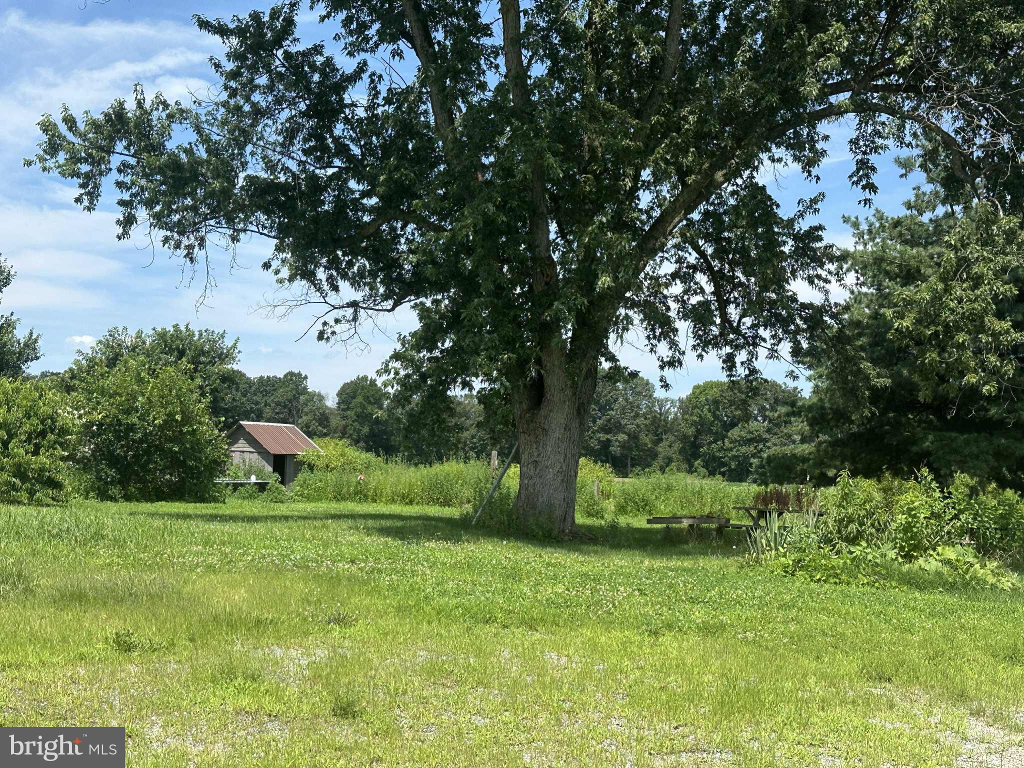 12530 DADS DESIRE LANE