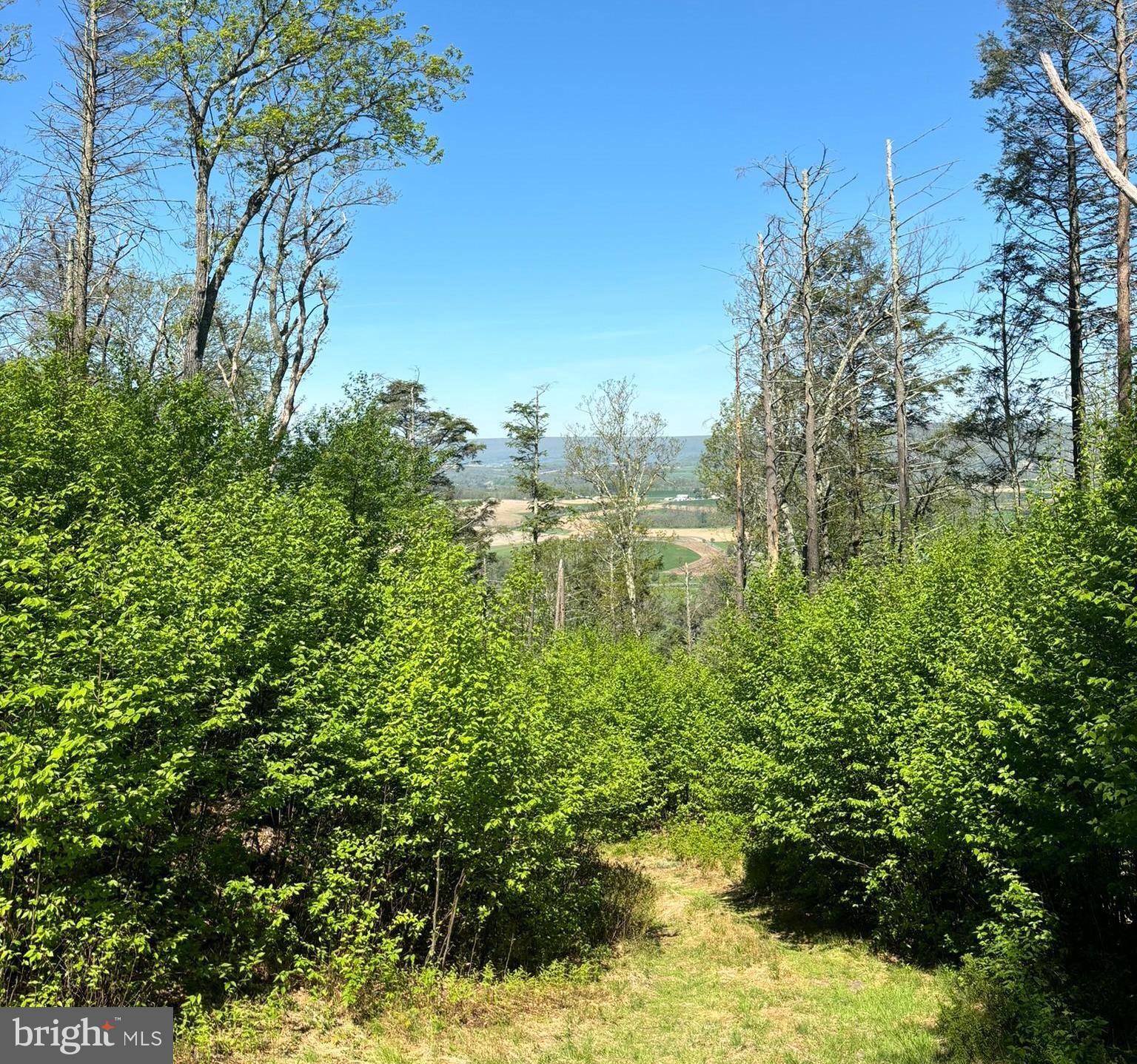 PRICE REDUCED! A beautiful 37-acre parcel close to State College! This large, wooded piece of land is ready for your fun. Close to Poe Valley and Poe Paddy state parks, many hiking trails, and less than 30 minutes to State College! Let your imagination run wild and start making this piece of ground your own for generations to come. Large tracts like this don't come around often, so don't wait on this gem!