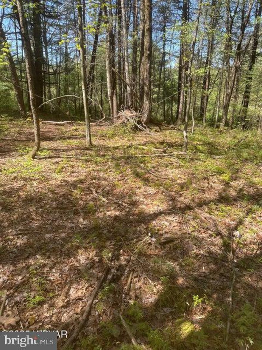 2 Acres for you to build your cabin! This is an area for cabins only, no full time residences. Wooded with frontage on 4th Gap Rd with a nice cleared spot to build. See Photos. This land is located just outside of Carroll on 4th Gap Rd.Lot is 100 x 652 x 200 x 216 x 436.
