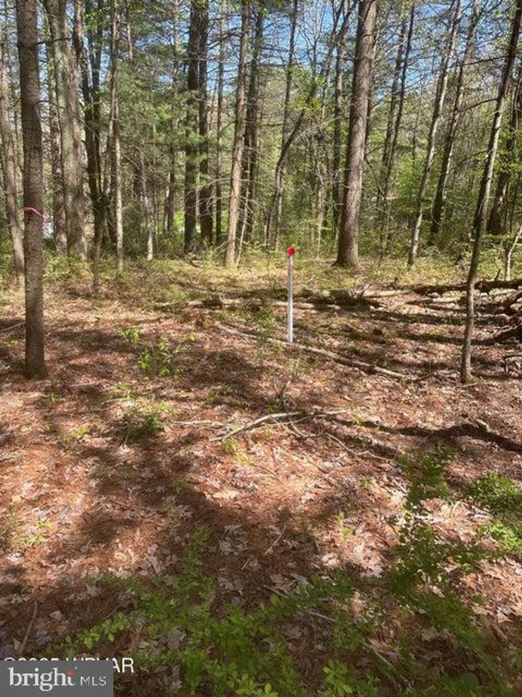 Photo of Parcel 110a 4th Gap Road, ALLENWOOD, PA 17810 (MLS # PALY2002218)