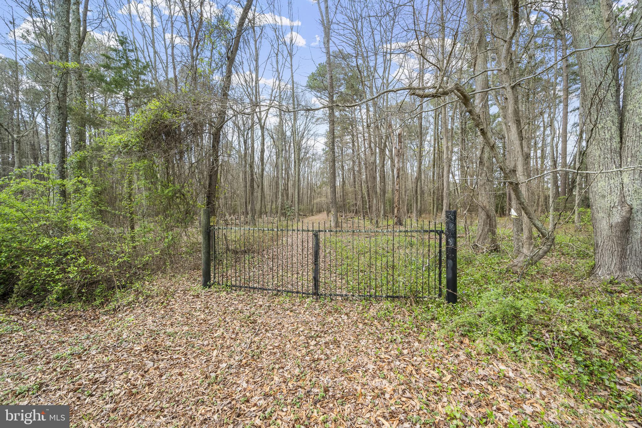 WICOMICO BEACH - Residential