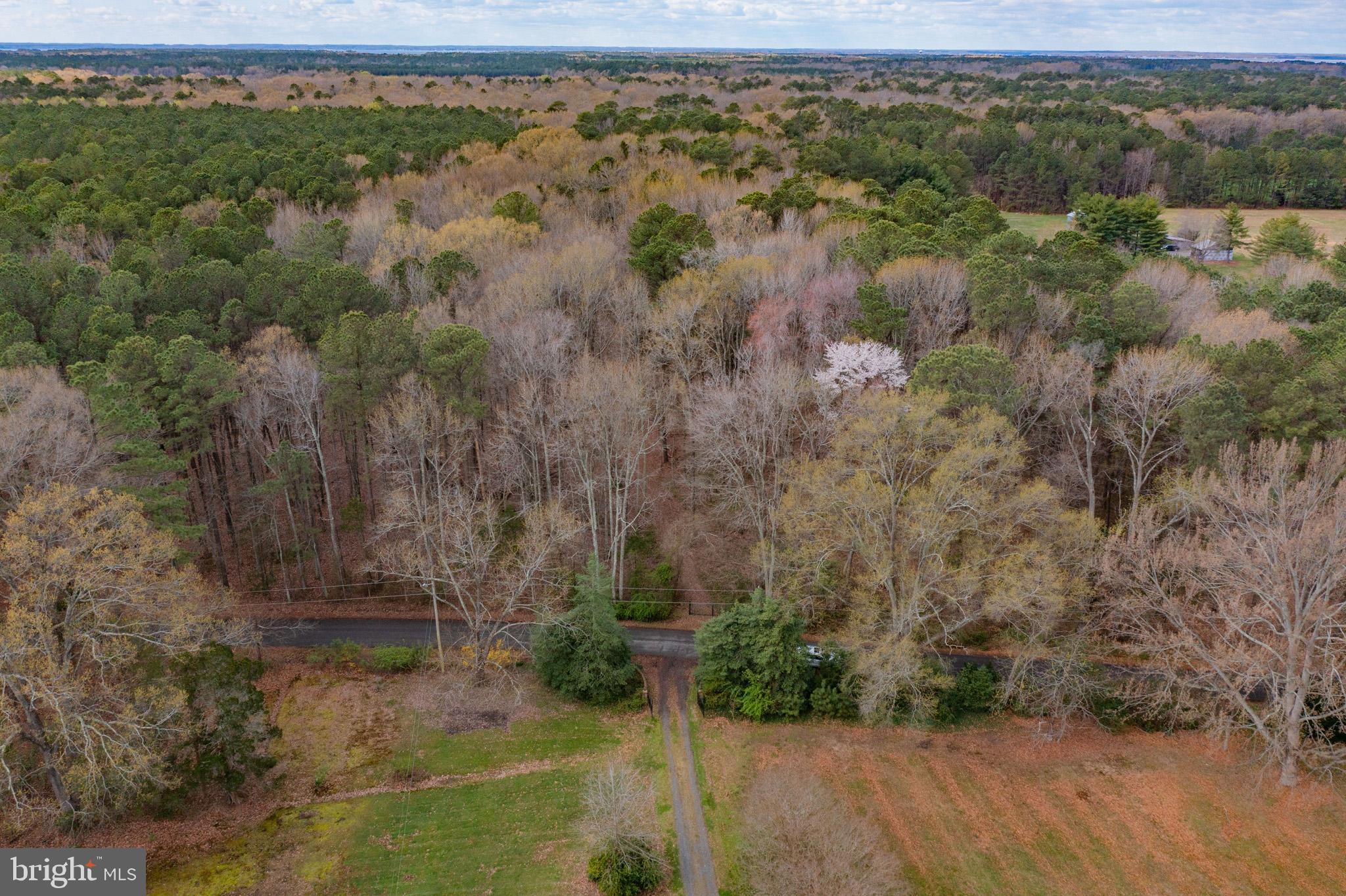 WICOMICO BEACH - Residential
