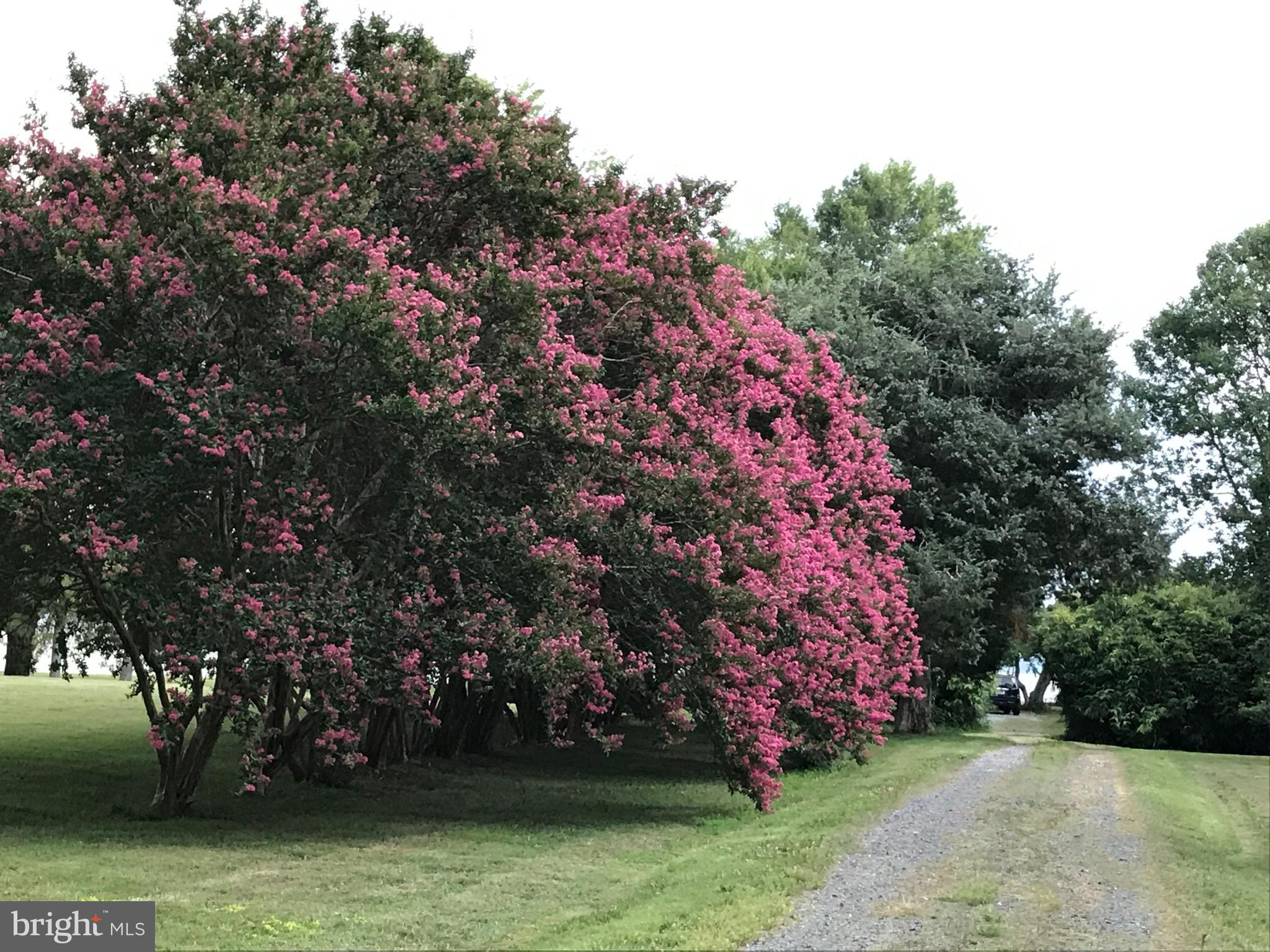 WICOMICO BEACH - Residential