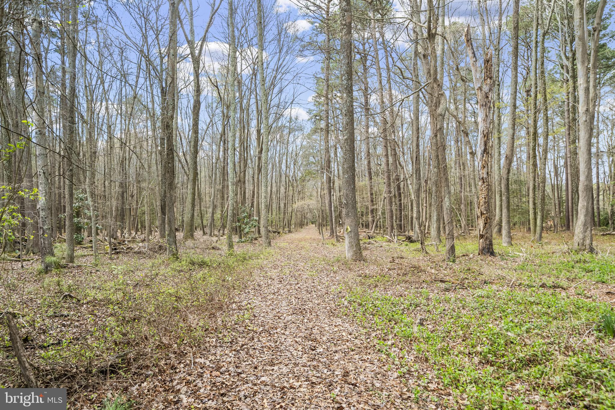 WICOMICO BEACH - Residential