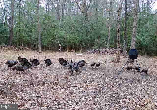 WICOMICO BEACH - Residential