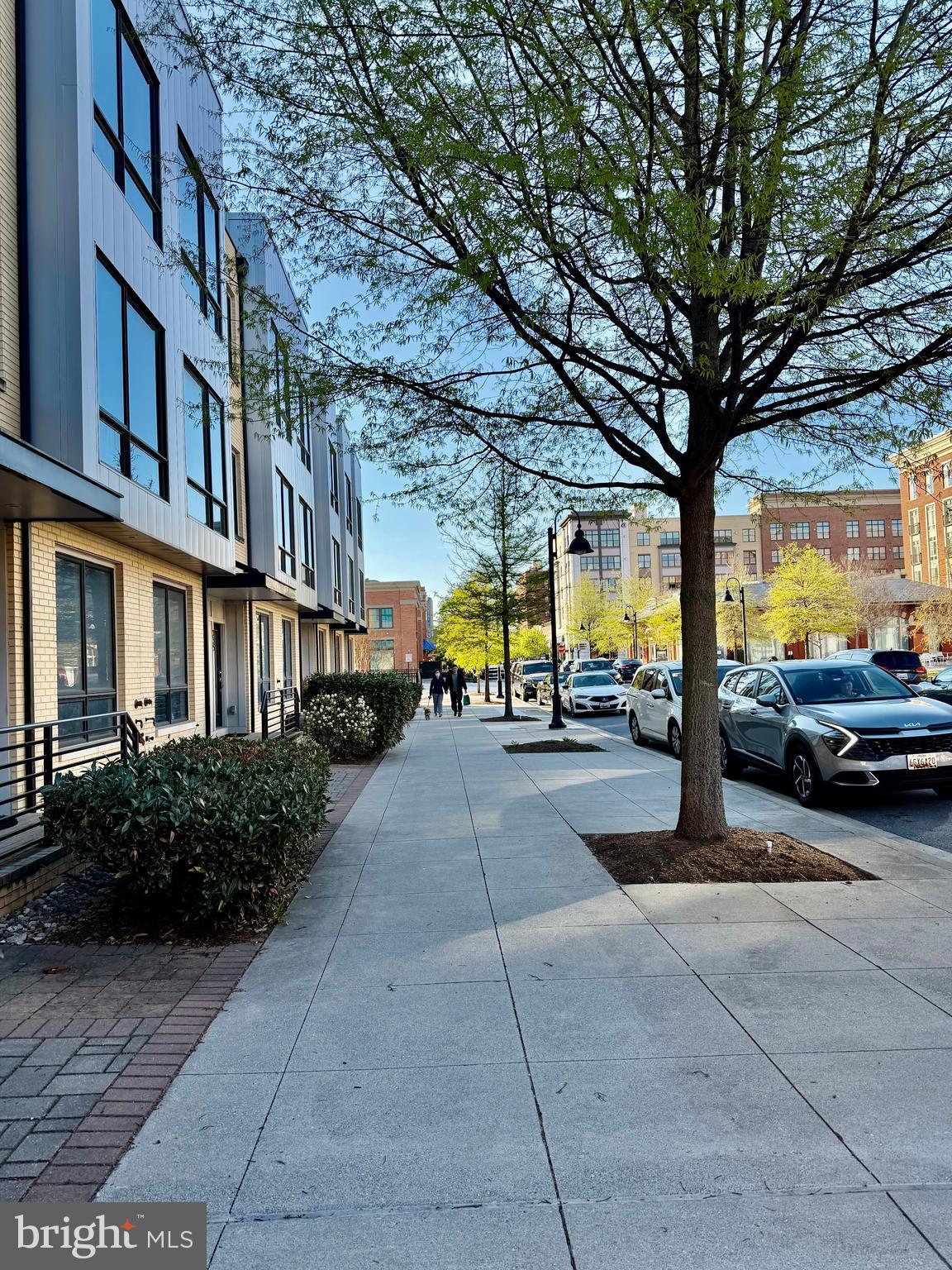 243 CROWN PARK AVENUE