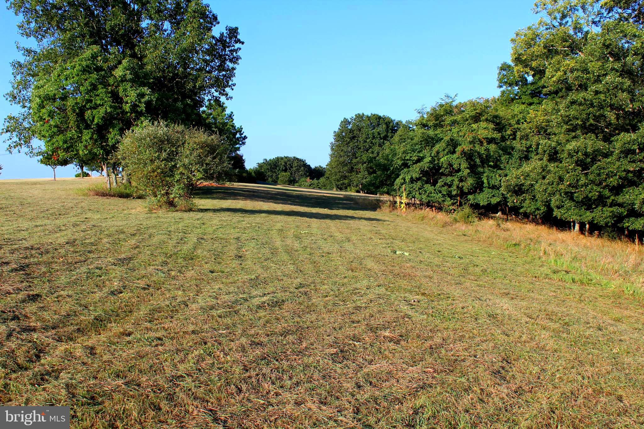 ORCHARD VIEW ESTATES - Land