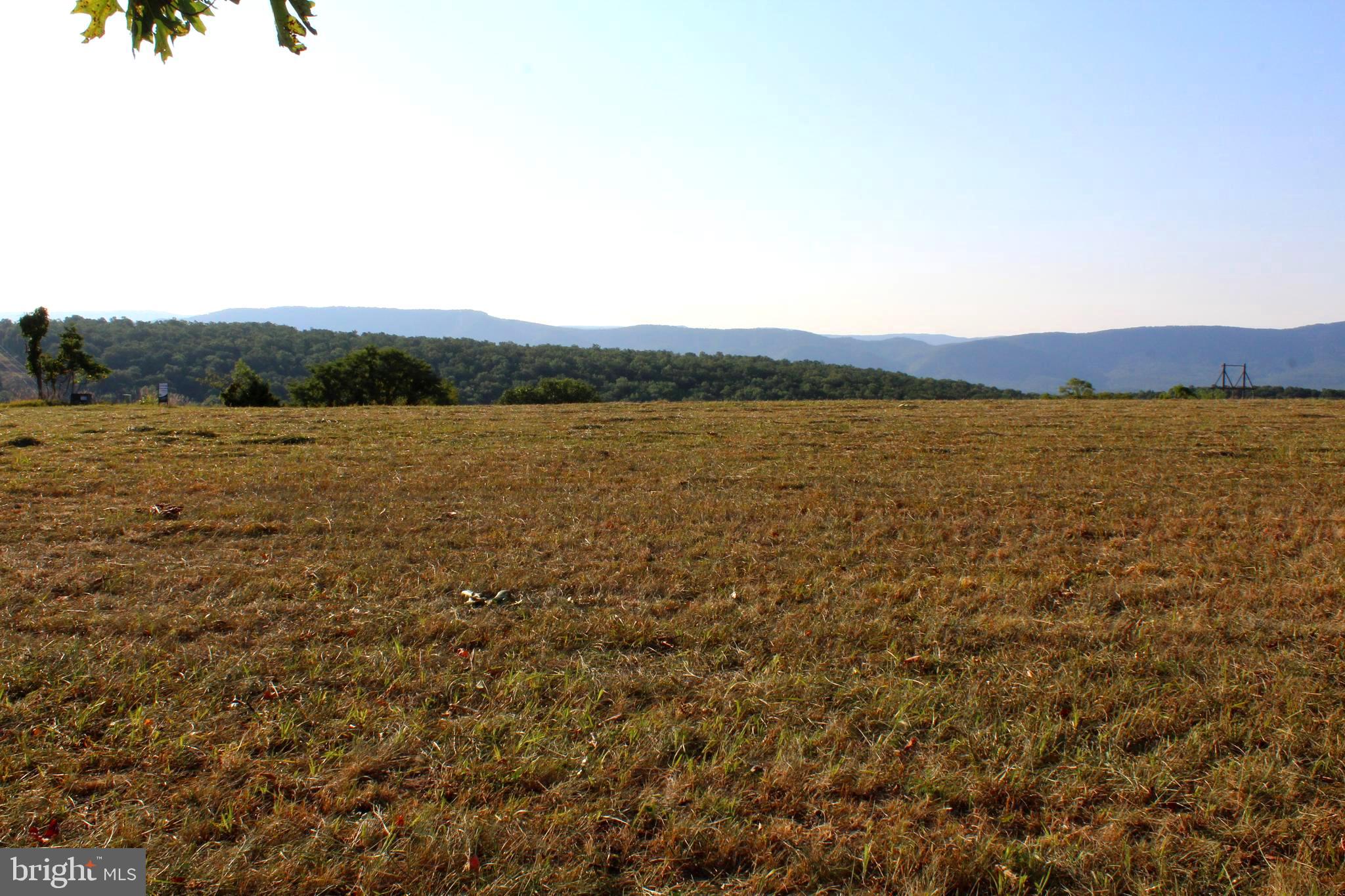 ORCHARD VIEW ESTATES - Land