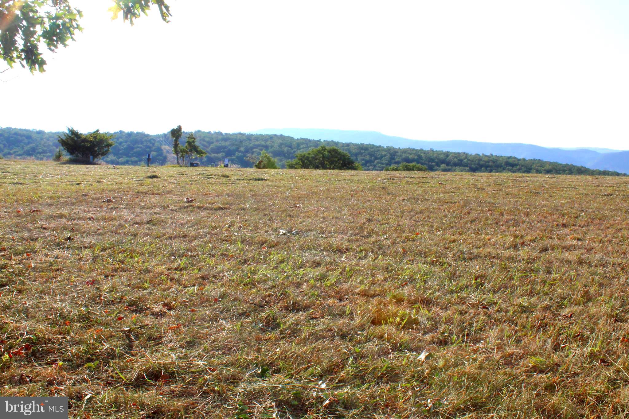 ORCHARD VIEW ESTATES - Land