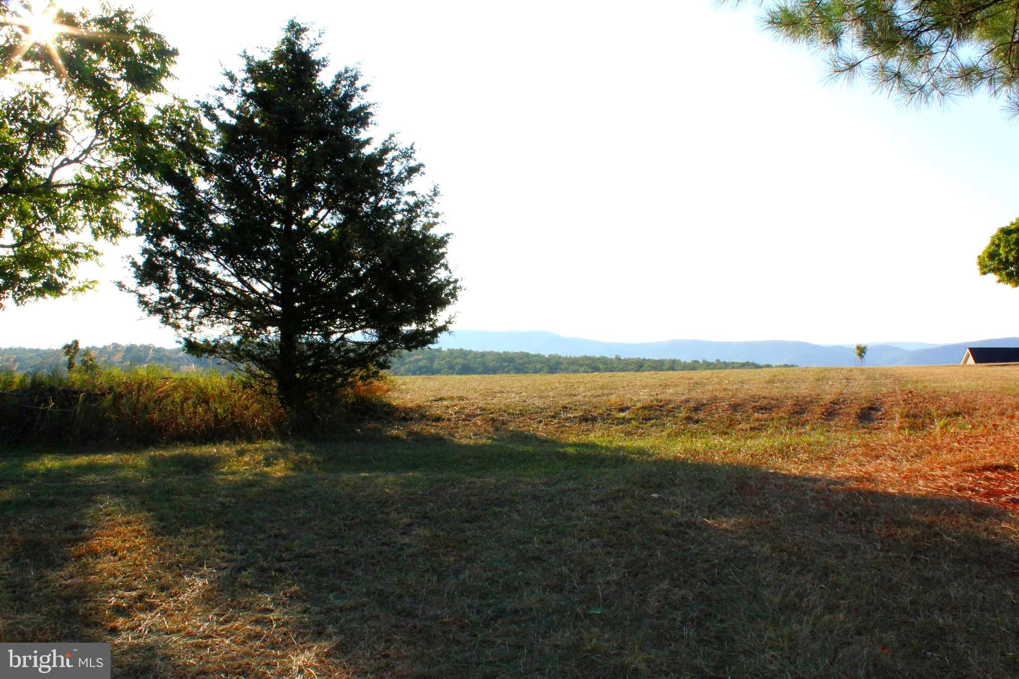 ORCHARD VIEW ESTATES - Land