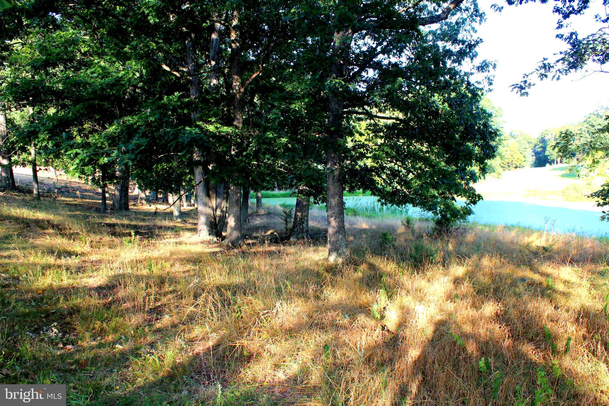 ORCHARD VIEW ESTATES - Land