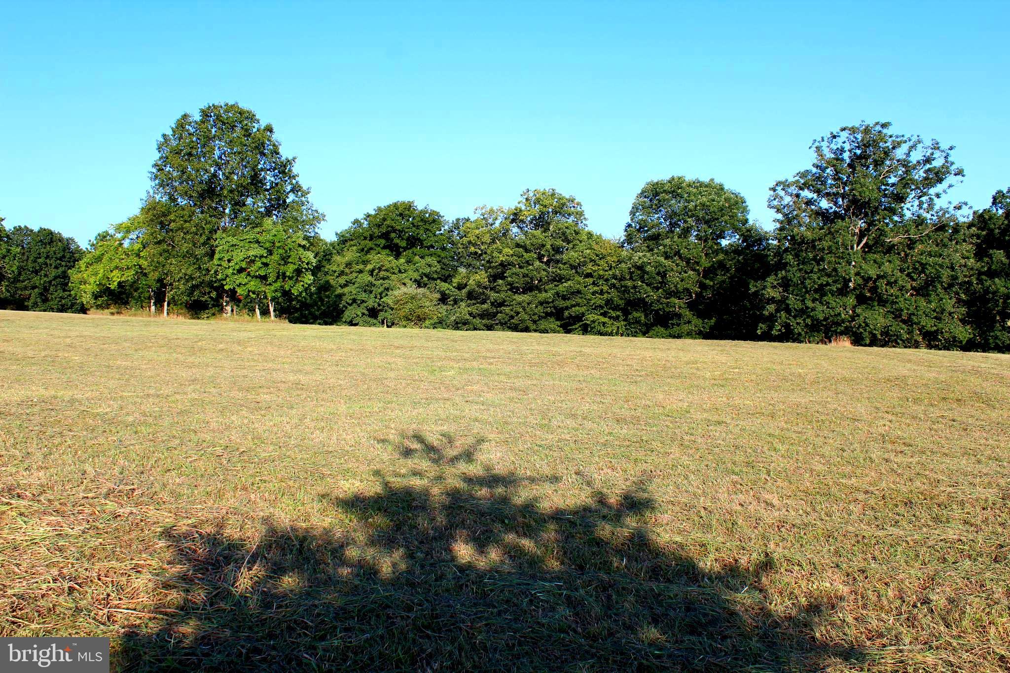 ORCHARD VIEW ESTATES - Land