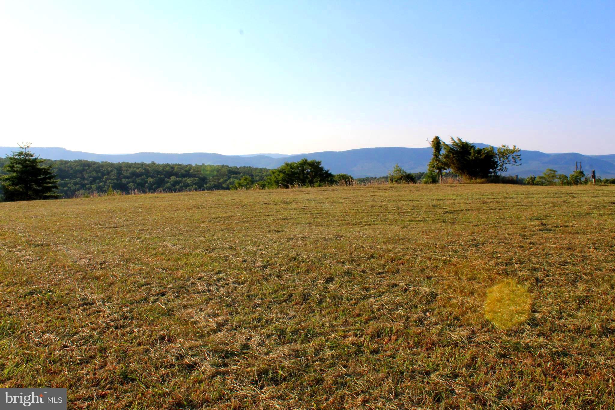 ORCHARD VIEW ESTATES - Land