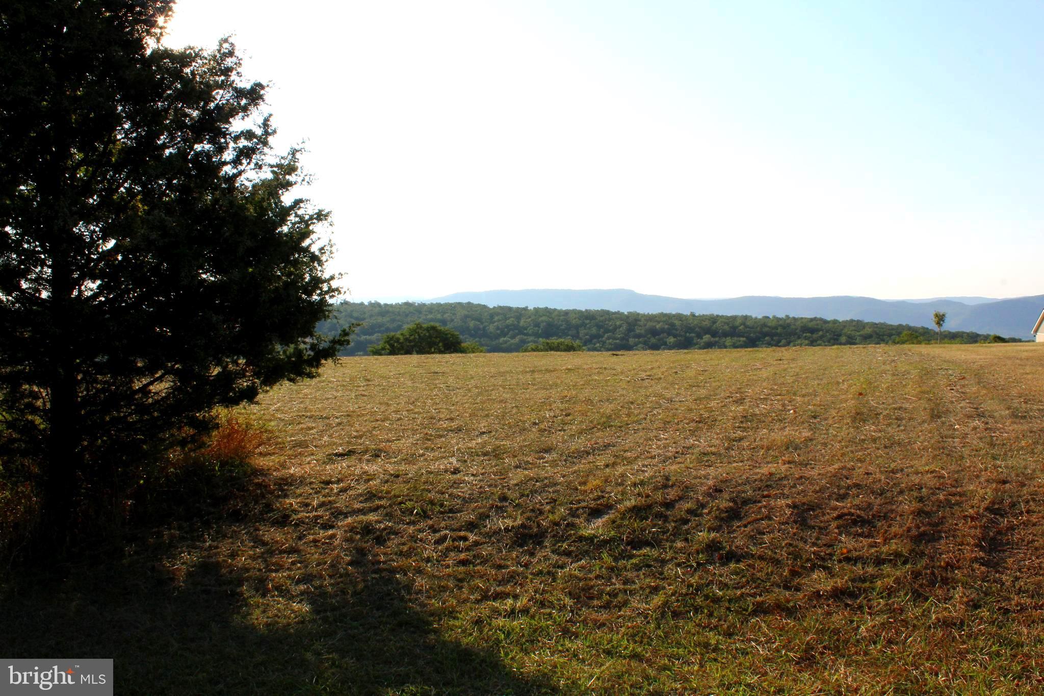 ORCHARD VIEW ESTATES - Land