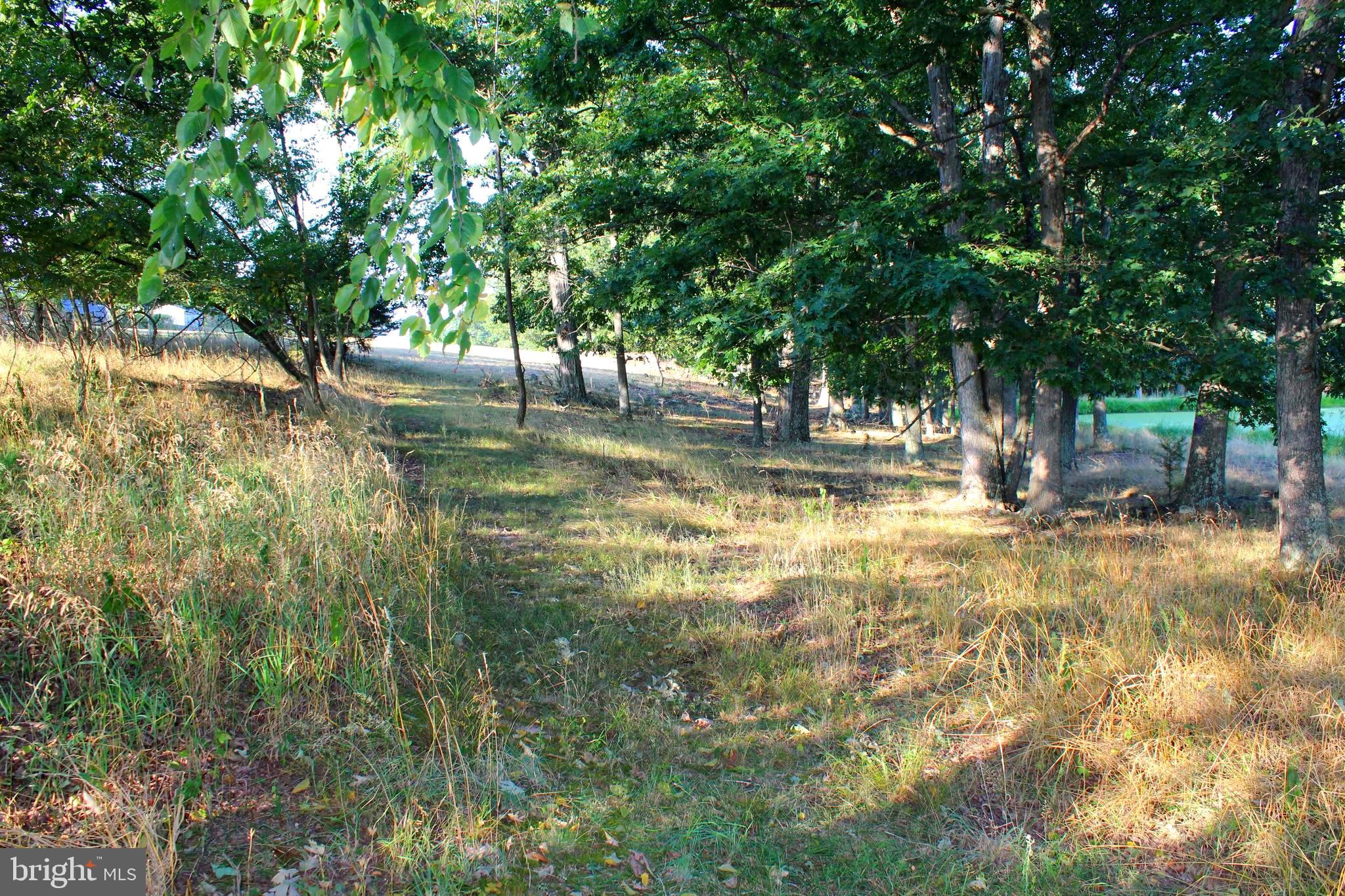 ORCHARD VIEW ESTATES - Land