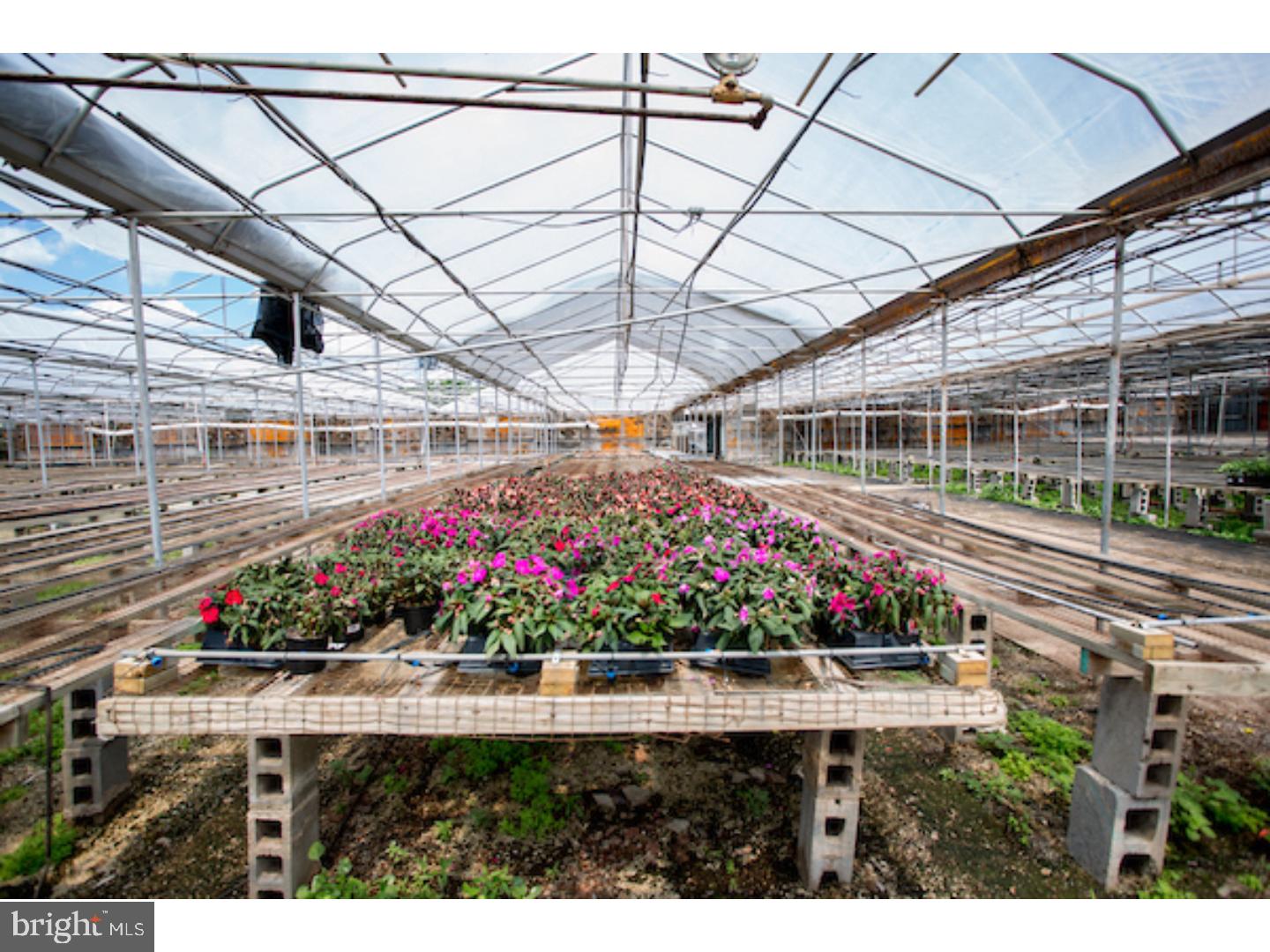 AMBERLEIGH - Commercial Sale