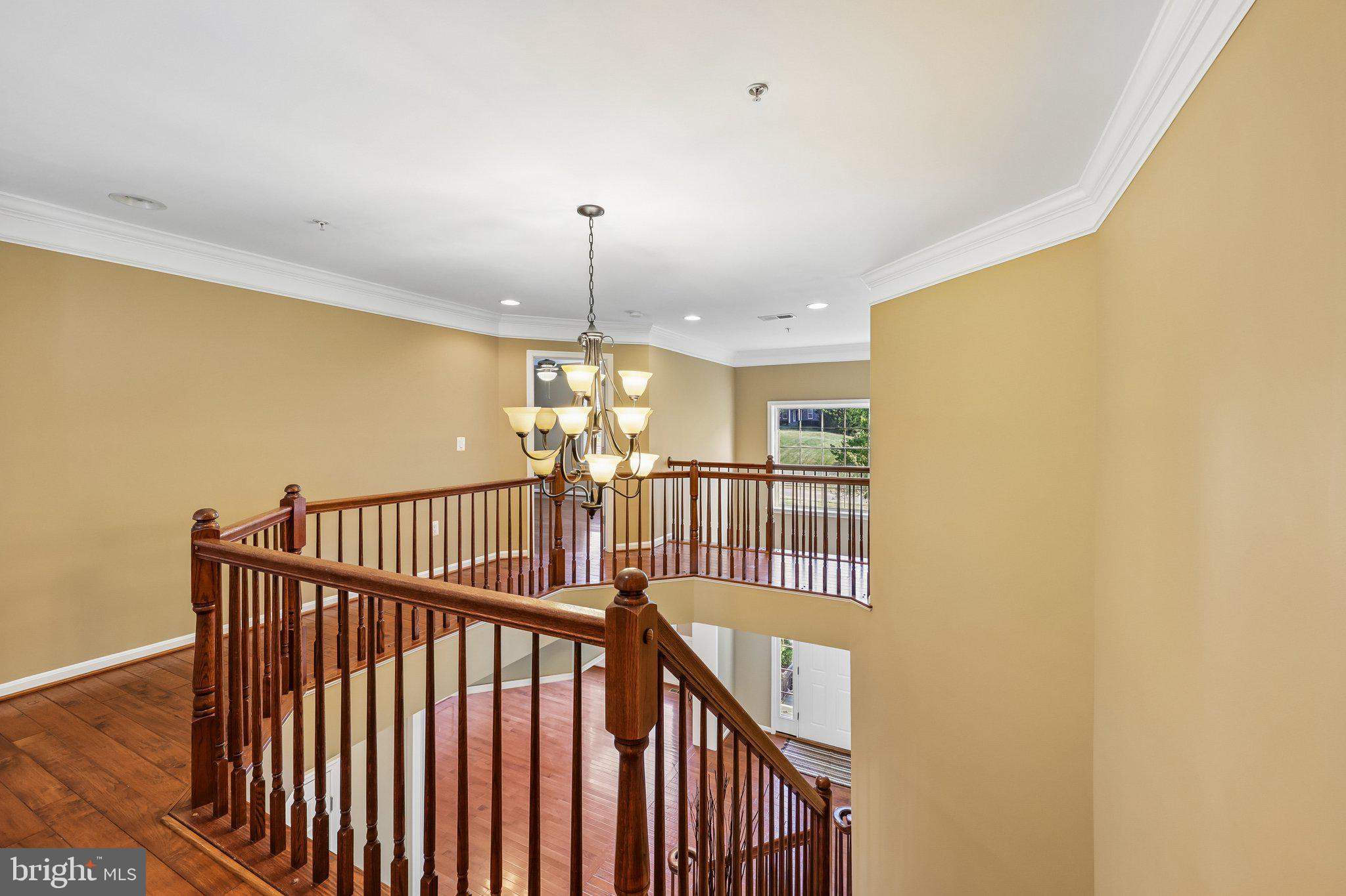CELEBRATE - Residential