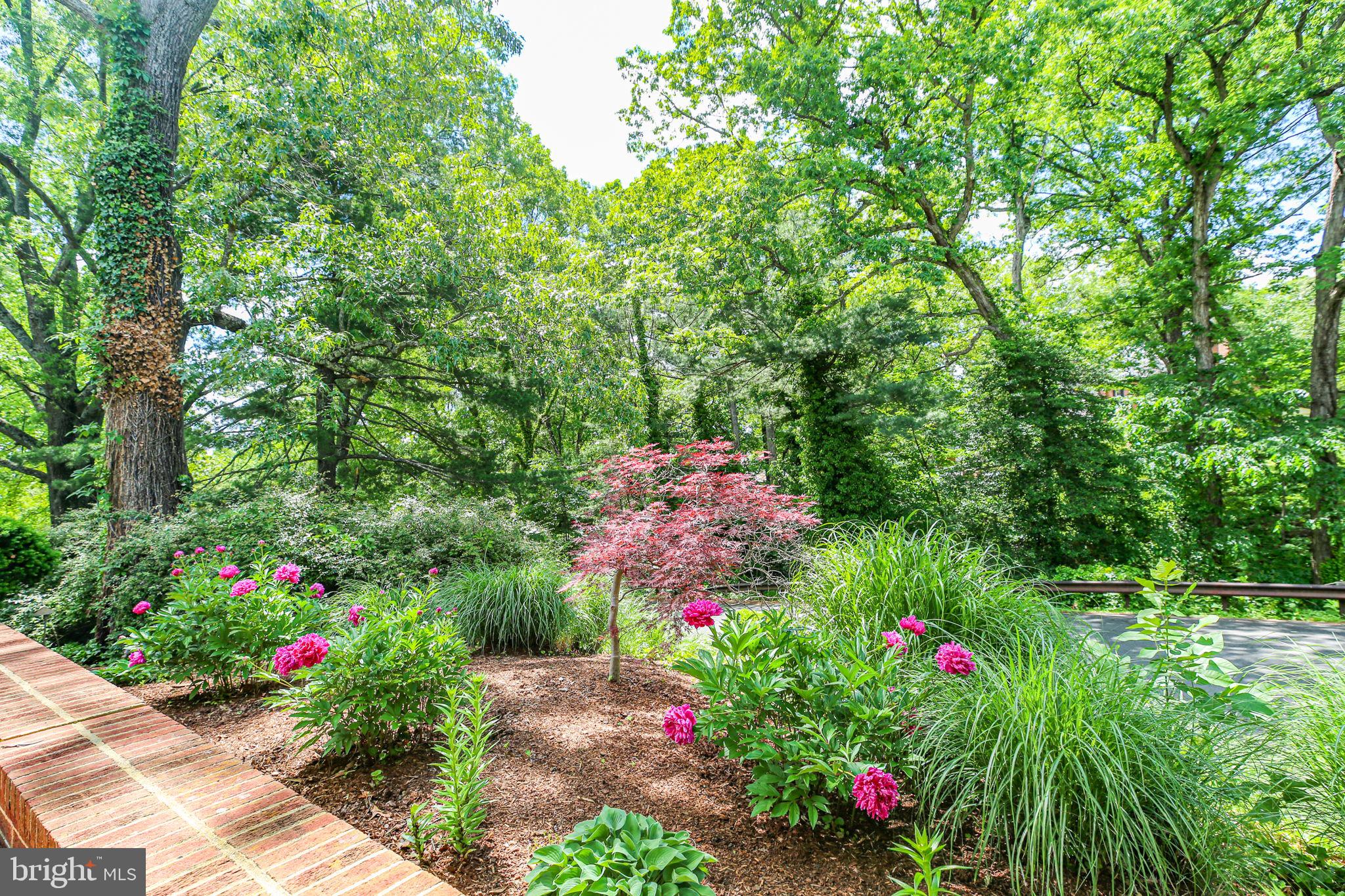 WESTMONT - Residential