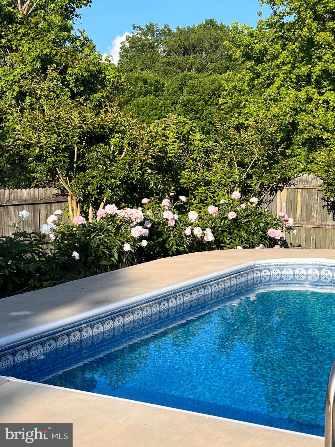 MATTHEWSTOWN RUN - Residential