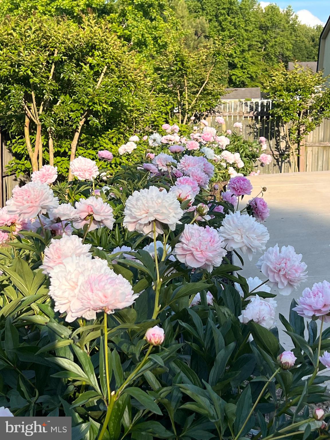 MATTHEWSTOWN RUN - Residential