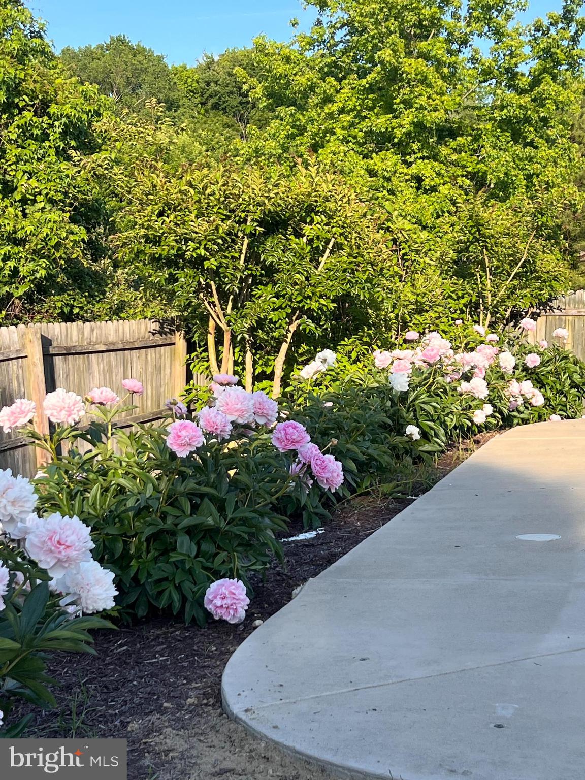 MATTHEWSTOWN RUN - Residential