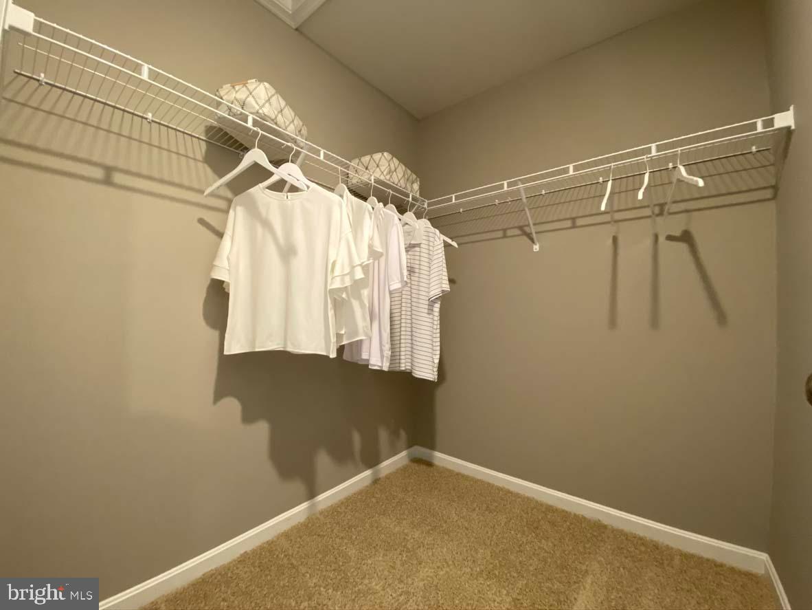 CATTAIL CROSSING - Residential