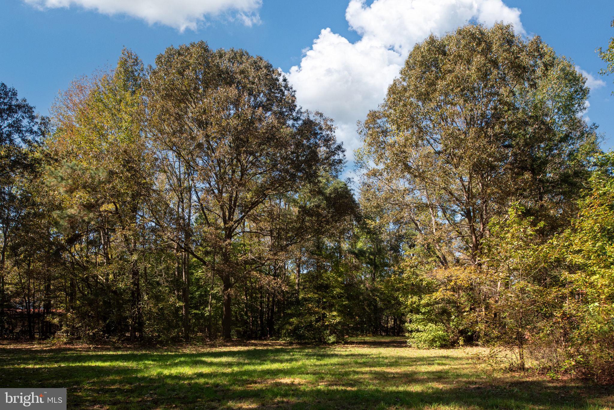 PROSPECT HILL RESUB - Residential