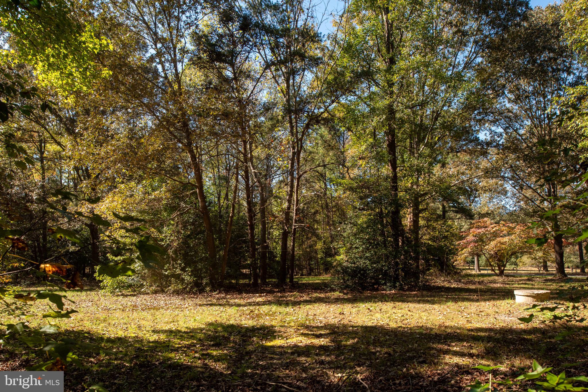 PROSPECT HILL RESUB - Residential