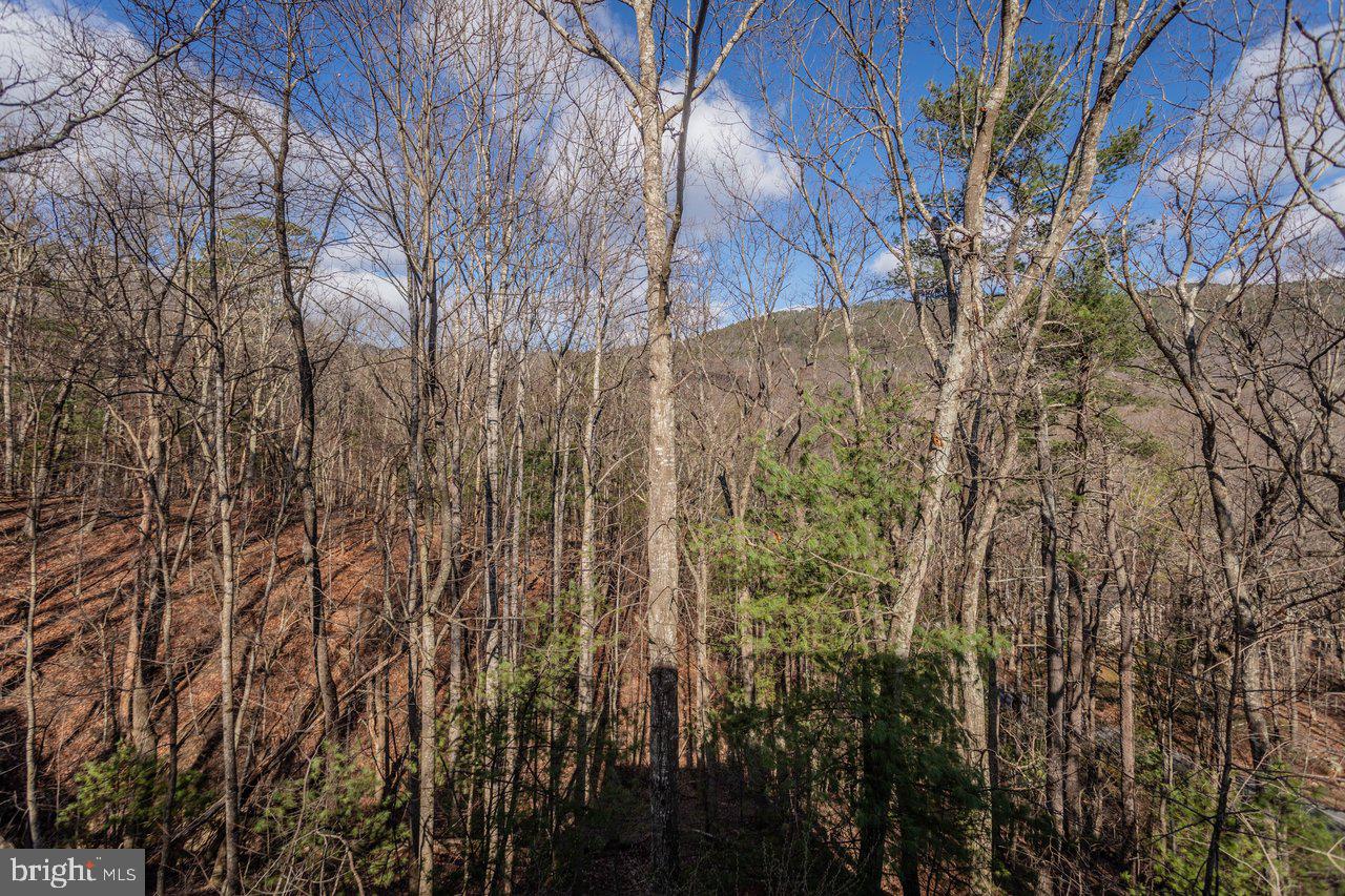 MASSANUTTEN - Residential