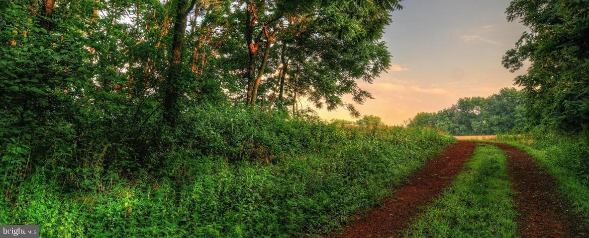 THE GREENS  AT WILLOWSFORD - Residential