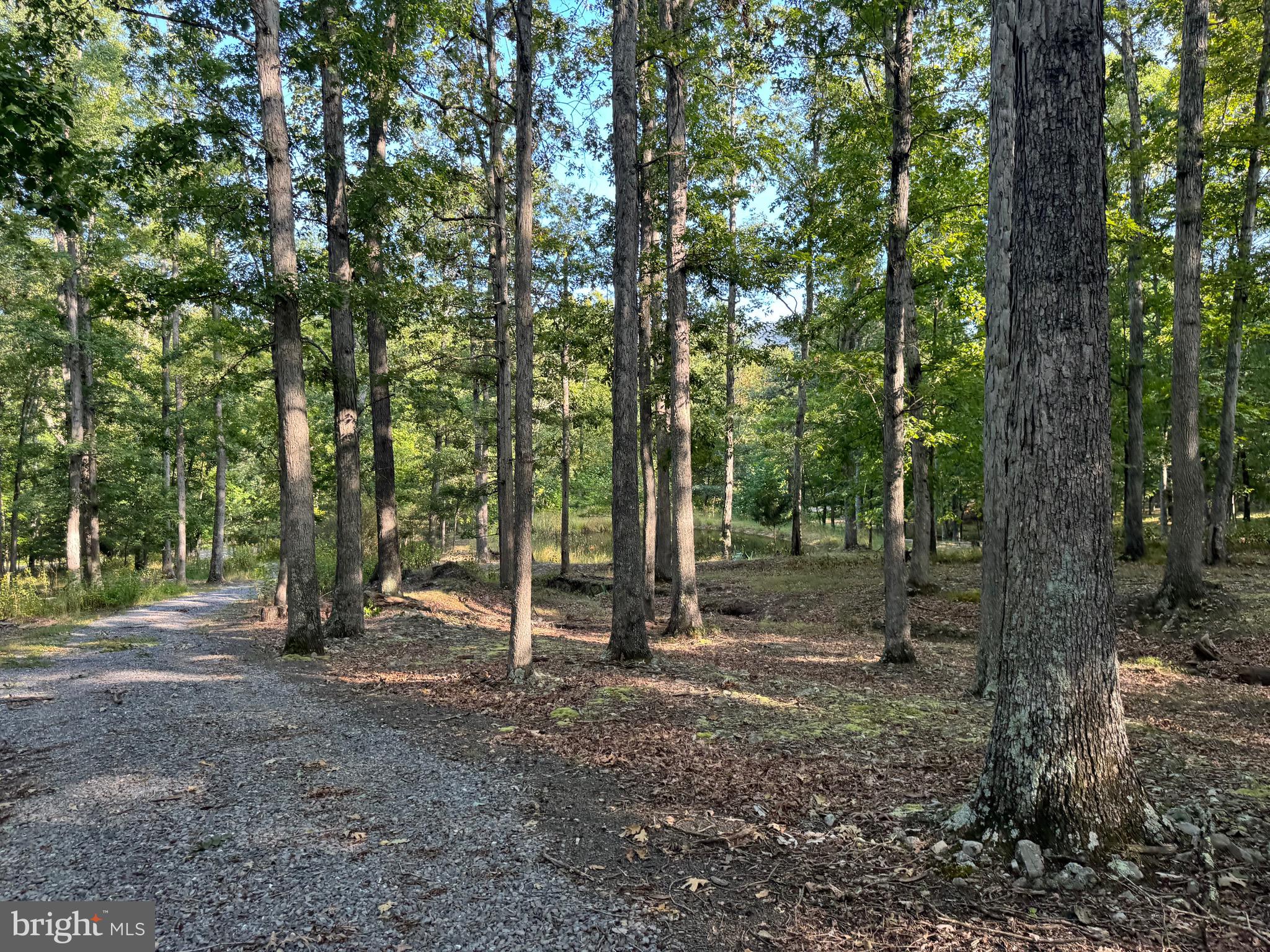 HOSEA SUB DIVISION - Residential