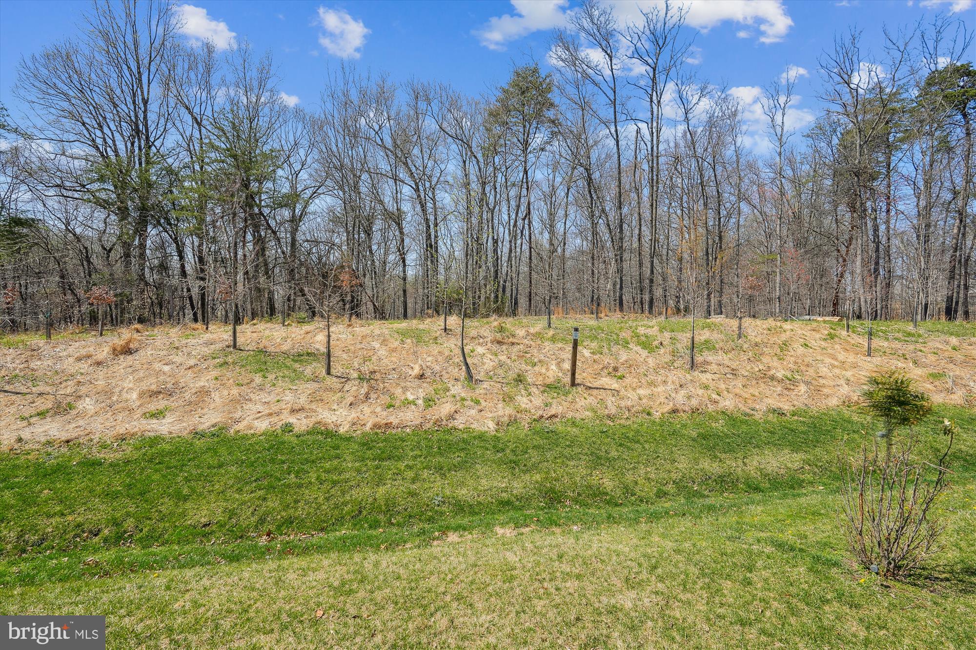 CABIN BRANCH - Residential