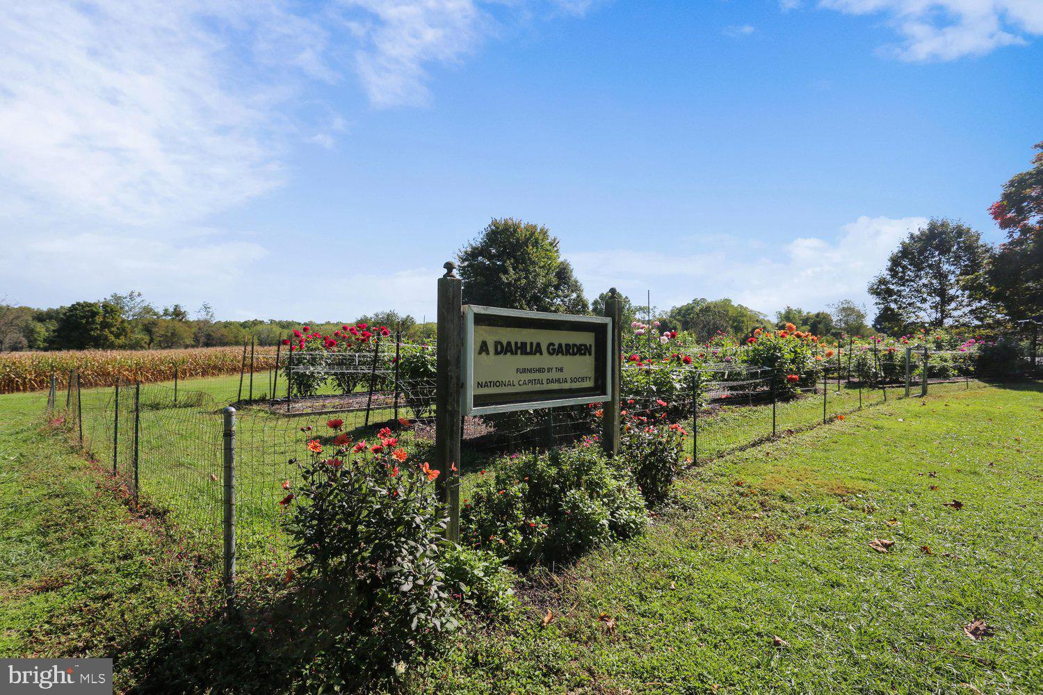 DEER PARK - Residential